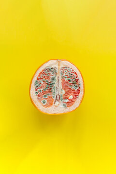 The concept of vaginal disease: venereal diseases, Vaginal yeast infection, Syphilis. Orange with mold on a yellow background