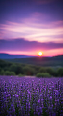Fototapeta premium Artistic Lavender Field Sunset Vibrant Purple Hues Under a Serene, Colorful Sky. Peaceful Nature Beauty.