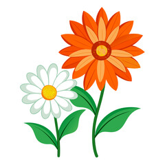 gazania orange white flower vector isolated on white background