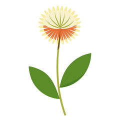  goats beard mushroom 