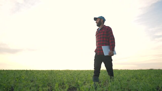 Farmer man laptop stands on lush field, watches crop growth. Agriculture thrives with smart technology. Farmer checks crop daily, manages field needs, helps secure healthy plants and better harvest.