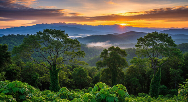 sunset over the mountains