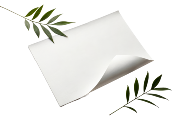 Blank white paper with corner curling and green leaves framing it