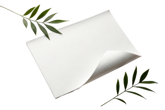 Blank white paper with corner curling and green leaves framing it