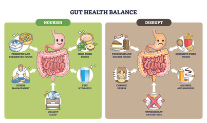 Gut health balance illustration comparing nourish vs disrupt, intestines, probiotic-high-fiber foods and processed-fried foods with arrows showing habits impact. Outline diagram