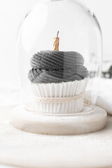 grey frosting on cupcakes with a white background, cupcakes in white liners with tall buttercream swirl, grey buttercream frosted cupcakes on a white background