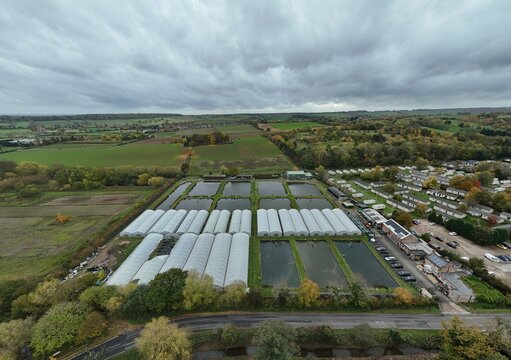 Aerial view of greenhouses reflecting the overcast sky, contrasting with the autumnal hues of the surrounding trees and fields, Nottingham, England, United Kingdom.