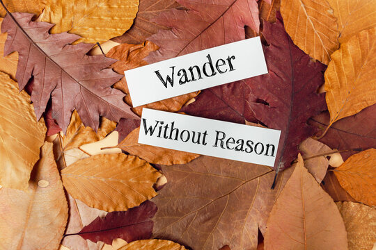 Autumn leaves with inspirational quotes creating a warm and inviting seasonal atmosphere