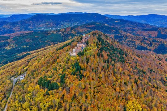 Aerial view of the majestic Ch&Atilde;&cent;teau du Haut-K&Aring;&ldquo;nigsbourg perched atop a vibrant hill, a symphony of autumn colors cascading down its slopes, Orschwiller, Grand Est, France.