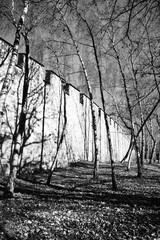 Medieval castle wall with tree shadows