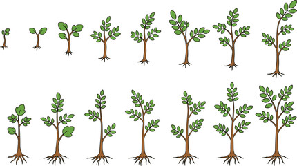 Stylized tree growth stages illustration, sapling to mature foliage, educational nature concept, blue trunks, green leaves, artistic progression, environmental design, vector sequence,