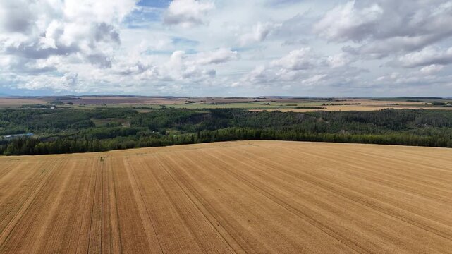 An aerial perspective reveals neatly harvested agricultural fields with visible rows, stretching towards a distant, verdant landscape of trees and rolling hills under a dynamic sky in Canada