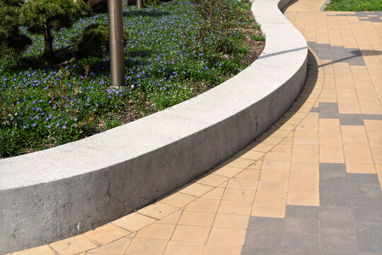 Curved concrete border separates blooming flowerbed with small purple flowers from clean tiled sidewalk in urban landscaped public area.
