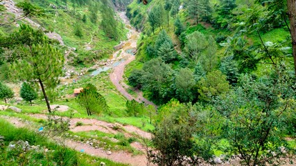 Lush green valley with a winding dirt path and stream on a sunny day