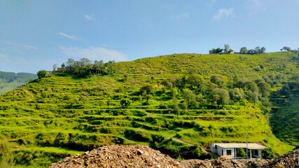 Lush green terraced hills under a clear blue sky, showcasing rural agricultural landscape