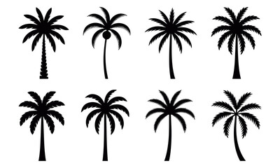 Coconut palm tree silhouette collection with tropical island and paradise beach concept, black exotic shapes for vacation design, travel illustration, and summer nature tropical theme artwork