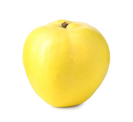 One fresh quince fruit isolated on white