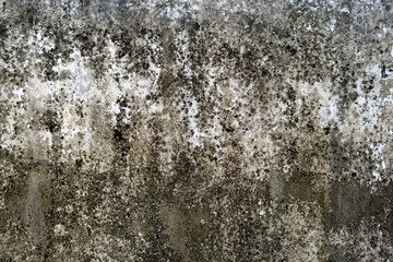Abstract Grunge Texture Close-Up Background Distressed Weathered Surface