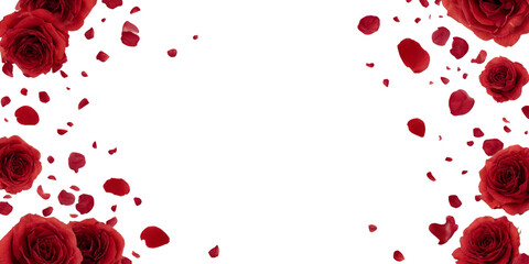 Elegant Frame: Red Roses and Petals on Black