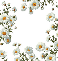 Daisies on Black: A Vintage Floral Frame