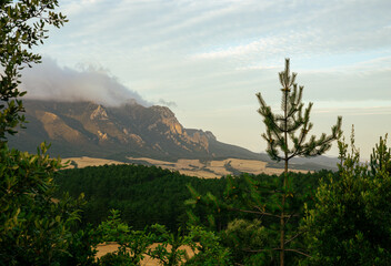 View of the mountains from the forest