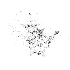 Liquid splash isolated transparent background 3d rendering
