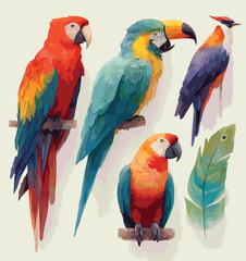  Jungle Bird Illustration with Bright Colors © TNG