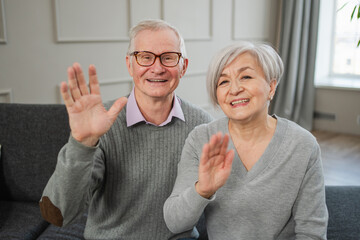 Happy senior woman man talk on video call with friends family. Mature old grandmother grandfather talking speaking with grown up children online. Older generation modern tech usage. Webcamera view