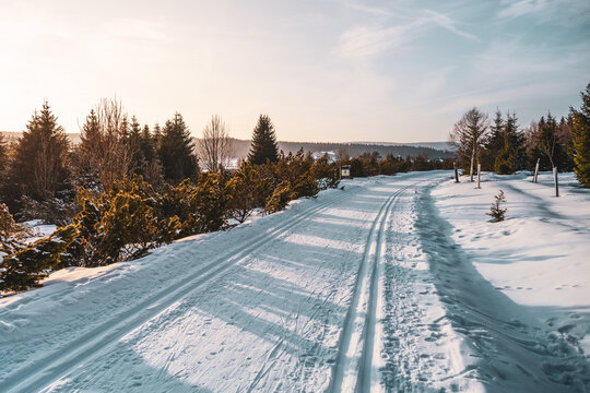 Cross-country skiing tracks lead through the snowy landscape of Jizerka Village on a sunny winter day. Perfect weather for leisure activities and enjoying nature. - Powered by Adobe