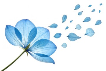 blue flower background