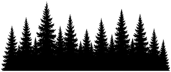 Obraz premium Pine forest tree line silhouette