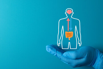 Doctor's hand holding a Gut-Brain Axis icon, symbolizing the link between the digestive system and the brain. Medical research, microbiome, and mental health concept.Blue background, copy space.