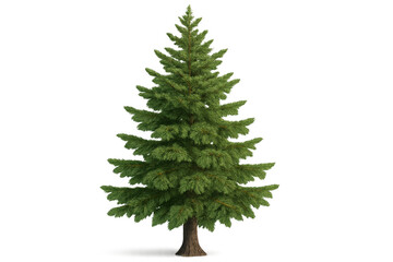 Fototapeta premium Pine tree standing on transparent background, symbolizing nature, growth, and holiday season