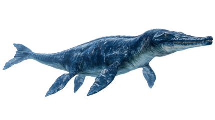 mosasaurus aquatic dinosaur, ancient reptile in swimming pose, isolated on white background