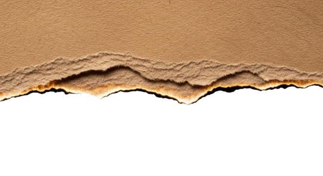 Torn edge of brown paper isolated on transparent background