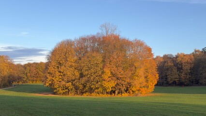 Herbstleuchten im Park