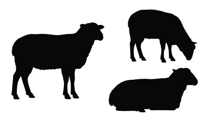 Black silhouettes of sheep in various poses against a white background