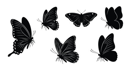 A collection of delicate black silhouettes of butterflies in flight © MdGolam