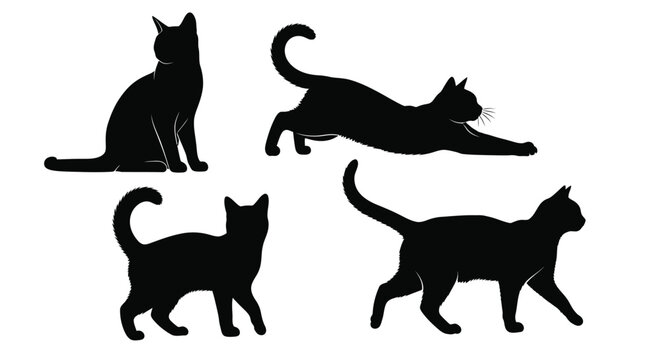 Four black cat silhouettes in various dynamic and relaxed poses