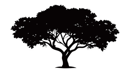 Fototapeta premium Monochromatic silhouette of Tree: A stark black silhouette of a sprawling tree, showcasing the intricate details of its branches and leaves, stands isolated.