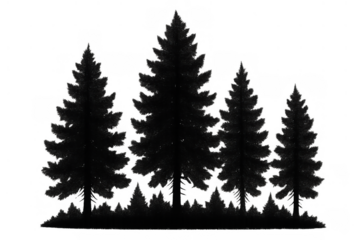 Forest pine trees silhouette with a group of spruces creating a woodland landscape, transparent background included