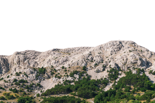 Rocky mountain landscape with green trees. Isolated object