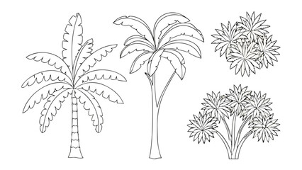 Obraz premium Tropical Flora Outline: Clean black-and-white line art of different palm tree silhouettes, showcasing the elegance and simplicity of tropical vegetation.