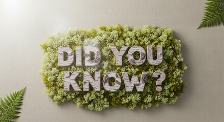 Did you know moss fern plant nature birch wood interesting facts green background knowledge learning