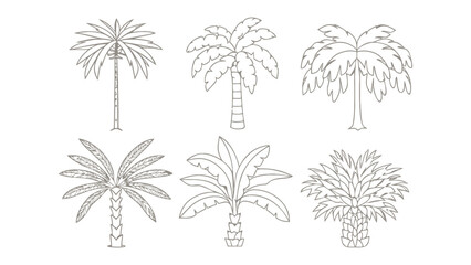 Exotic Palm Tree Variety: An illustrated collection showcases a variety of stylized palm tree designs, each offering a unique representation of tropical flora and coastal aesthetics. 