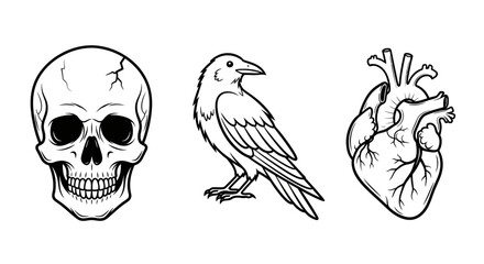 Fototapeta premium Symbolic arrangement featuring a skull, raven, and heart against a stark white backdrop