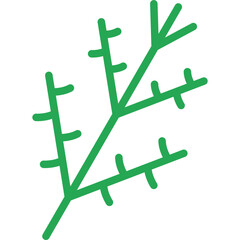 Dill Icon