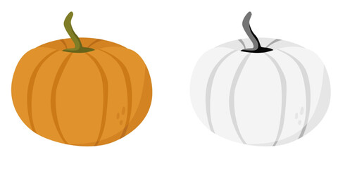 Simple Illustration of Orange and White Pumpkins – Autumn and Halloween Decoration