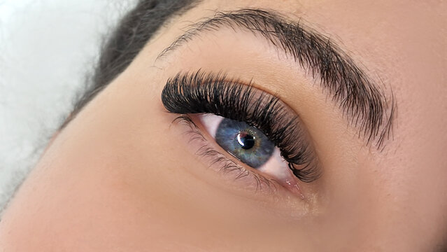 Close up of female eye with eyelash extensions ,eyelash extension procedure.2d volume, 3d volume, classical lashes,Russian volume,mega volume, new set.