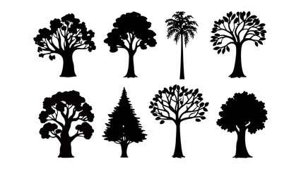 Silhouette Trees: An assortment of tree silhouettes. This collection showcases a diverse range of tree forms, ideal for creative projects and adding a touch of natural elegance.